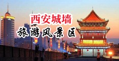 美女被,大鸡巴操中国陕西-西安城墙旅游风景区